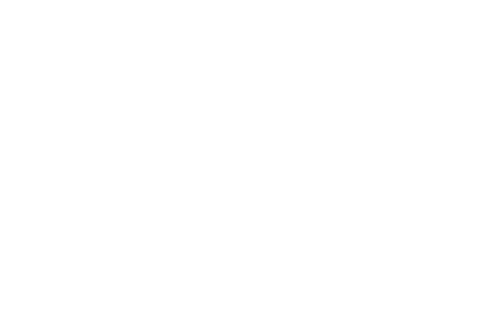 stela alusi